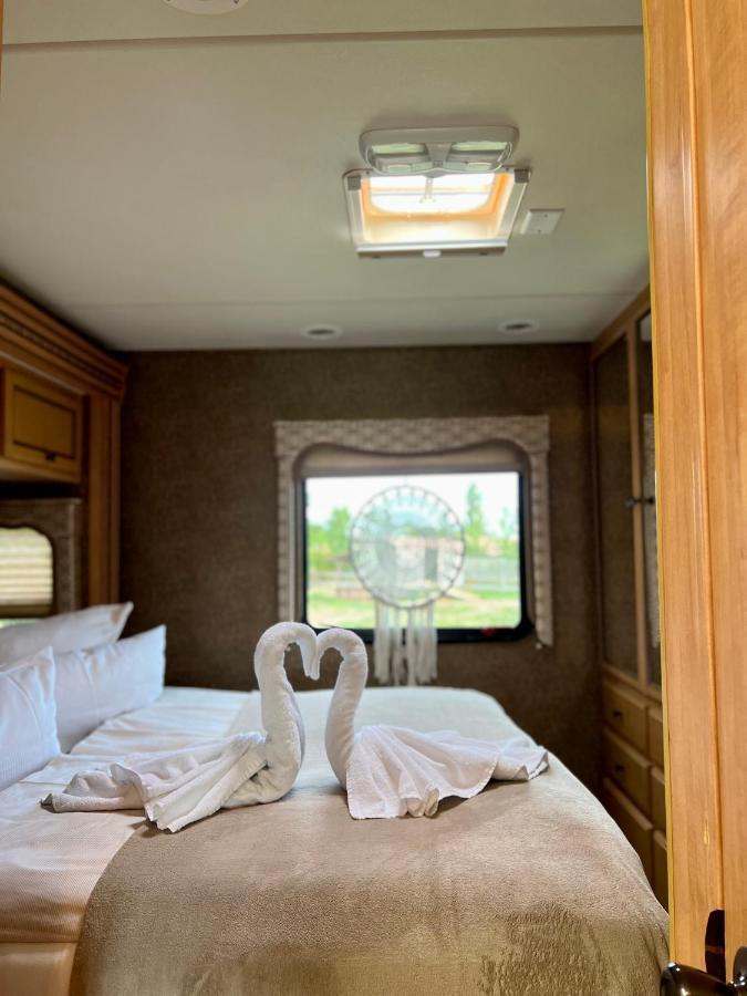 Lieblingsplatz Parey - Tiny House Exterior foto