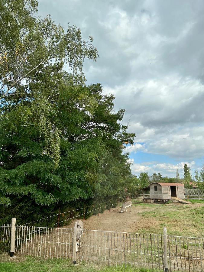 Lieblingsplatz Parey - Tiny House Exterior foto
